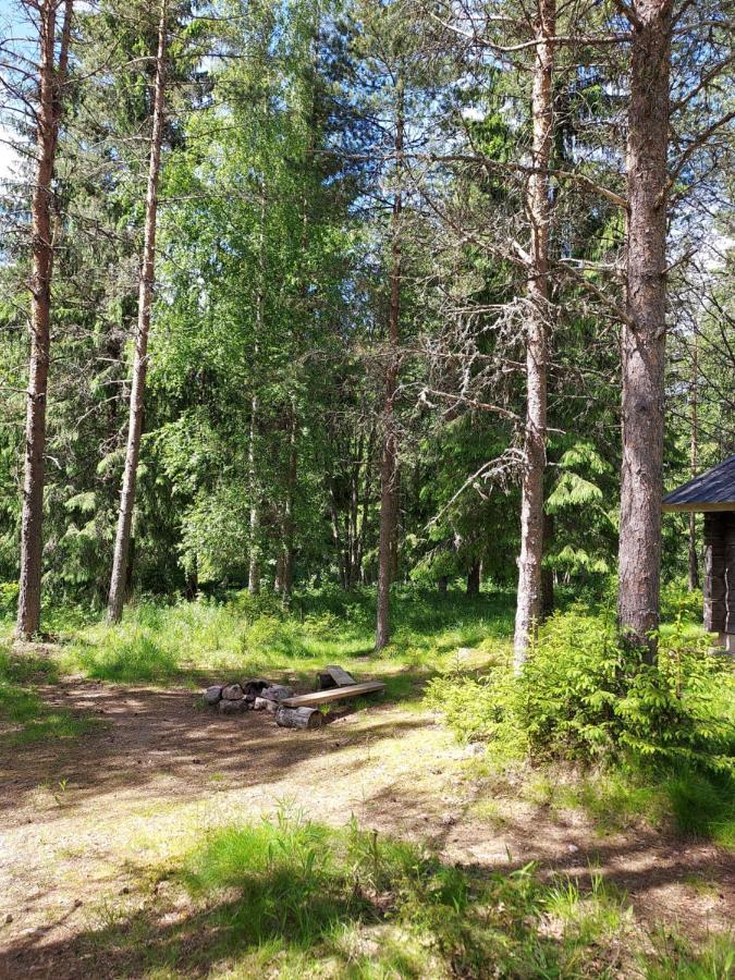The Old Logging Camp Villa Yttermalung Екстериор снимка