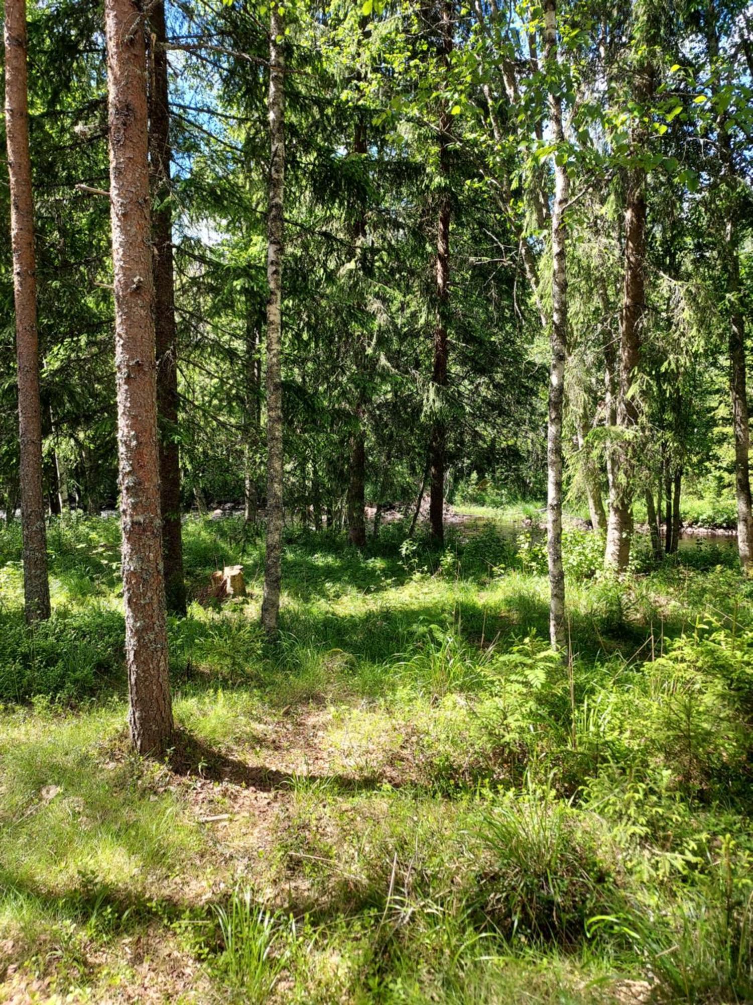 The Old Logging Camp Villa Yttermalung Екстериор снимка